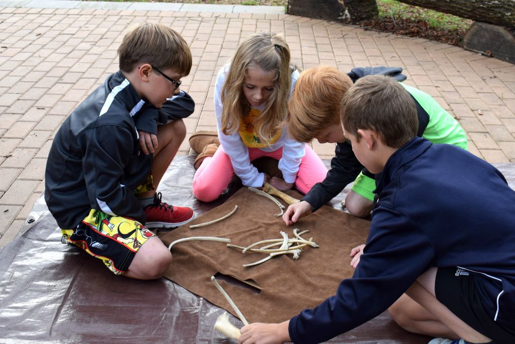 learning about native american cultures 